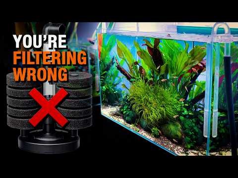 Stop Using These Filters If You Want a Pristine Aquarium