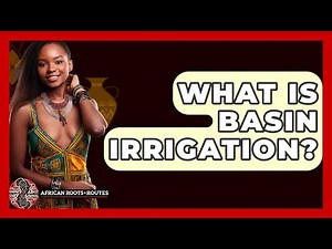 What Is Basin Irrigation? - African Roots And Routes