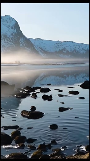 😱👽 क्या एलियन सच में होते हैं जानिए हकीकत#viral #alien #algorithm #rahasya #youtubeshorts #algorithm