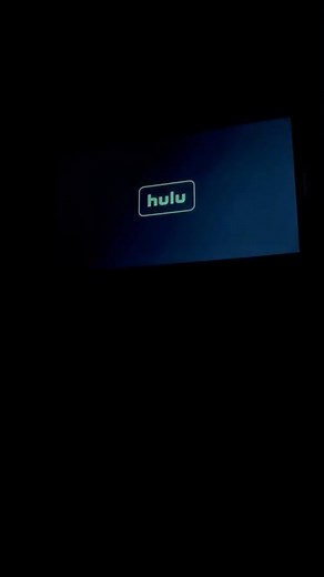 Hulu logo (2024)