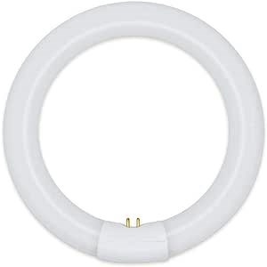 Technical Precision Replacement for Dazor 8mc-300 Light Bulb 8 Inch Circline Bulb with G10Q-4 4 Pin Base in A Square - 4100K Cool White Circline Fluorescent Bulb - 1 Pack - Amazon.com