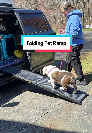 Folding Pet Ramp for Dogs: Sturdy & Easy to Use