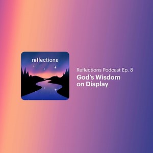 2.7K views · 114 reactions | Think of someone wise and understanding in your life. What do you admire about this person? Share with us in the comments! Reflect more on God's wisdom in the law in this week's Reflections podcast: https://tbp.xyz/reflections8. | BibleProject | Facebook
