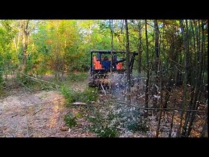 Bradco MM60 Mulching Trees