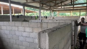 Consultation à la ferme Construction d’une porcherie moderne. Vos plans de construction et devis sont disponibles chez nous . Pour vos projets d’élevages contactez-nous via : 237 678189719 | Élevages Leaders