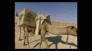 46K views · 598 reactions | Check out this flashback from the last 25 years of shoebox gifts! National Collection Week is November 12-19—help us celebrate our 25th year of ministry by packing a shoebox: https://sampur.se/How-To-Pack-a-Shoebox | Operation Christmas Child | Facebook