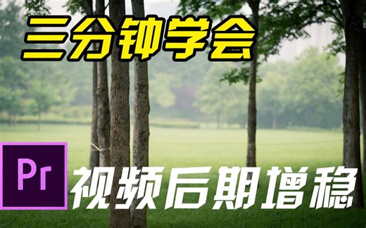 【PR教程】录视频画面太抖怎么办！？ 三分钟教你学会后期增稳！！ 后期画面稳定 ProDAD 后期防抖稳定增稳 【摄影师镰月】