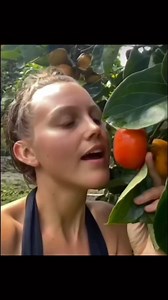 Best tree ever | Arron Crascall