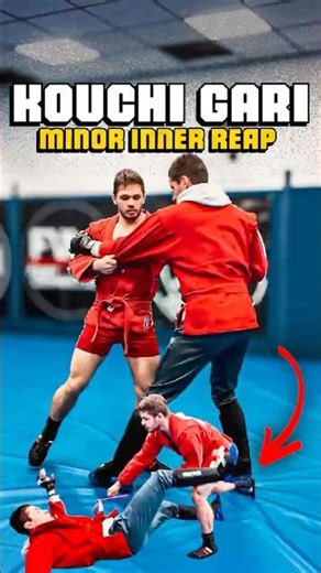 KOUCHI GARI - Minor Inner Reap #judo #sambo #wrestling