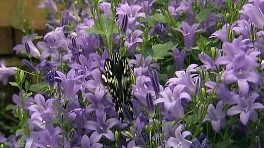 BBC Earth The Climate Wars 3 of 3 Fight for the Future