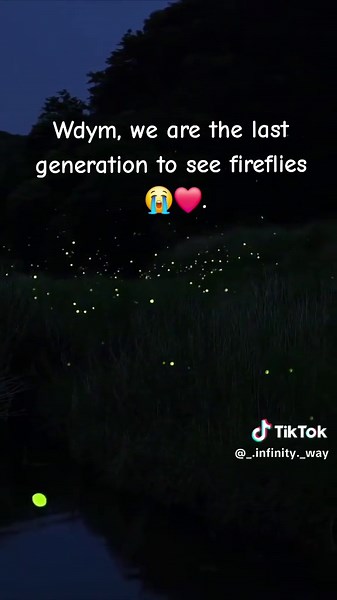 The Firefly population in the world is declining as Fireflies face a variety of threats from habitat loss, light pollution, pesticide use, climate change, poor water quality and invasive species. These magical creatures will be gone if we don't protect them.❤️ #firefly #fireflies #generations #ourgeneration #owlcity #magical #creatures #fyopppppppppppppppppppp #fyp #makethisviral #trending #foryoupage