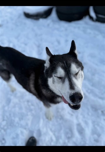 Pee break=playtime 🤣