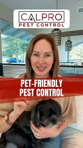  헕헲헰헮혂혀헲 헽헲혁혀 헮헿헲 헳헮헺헶헹혆. At CalPro Pest Control, we believe that...