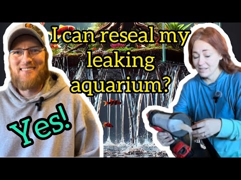 How To Reseal an Aquarium - Easy (Beginner Friendly!!) Step-by-Step Tutorial #diy #aquarium