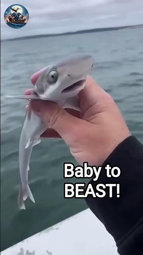 Cute Babies… Fierce Adults! Watch the Transformation!