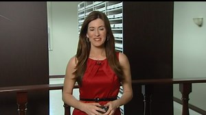 History lesson in Harris County