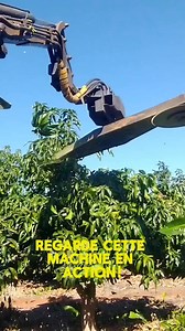 166K views · 611 reactions | Machine impressionnante retirant une partie de l'arbre à mangue avec facilité!" | Goûts Silencieux | Facebook