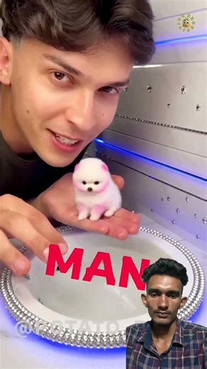 Cutest Tiny Puppy Bath Time and Grooming!* #puppy #viral #pets