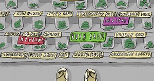 Are Weed Strains Really That Different or Mostly Bullshit?