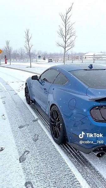 ❄️ ❄️ ⛄️ #fy #fyp #fordmustanggt #shelby #musclecars #v8power #viral #viralvideos #bosna #carsoftiktok #fypシ