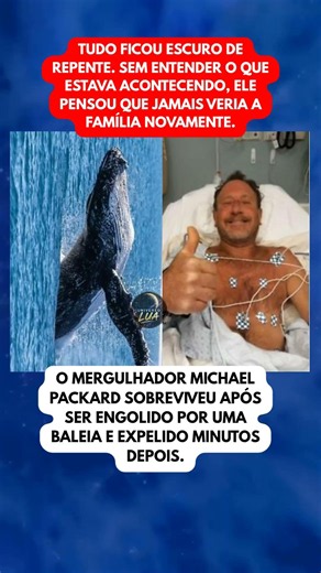 O dia em que uma baleia mudou sua vida para sempre