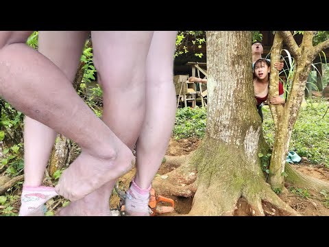 Agricultural vehicle transporting wood; girl digging up a gigantic tree stump.