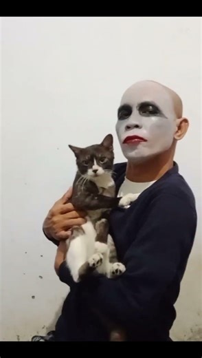FUNNY MIME WITH CAT AND LIGHT | SILENT PANTOMIME SHOW
