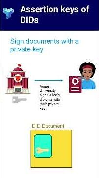 Assertion keys in DIDs