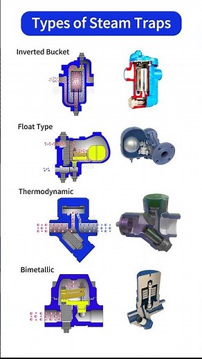 What Are the Types of Steam Traps? Quick 10-Second Overview! #Valves #Industrial