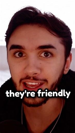 He got too close to a jaguar... #shorts #shortsfeed #youtubeshorts #cringe #survival #comedy #funny