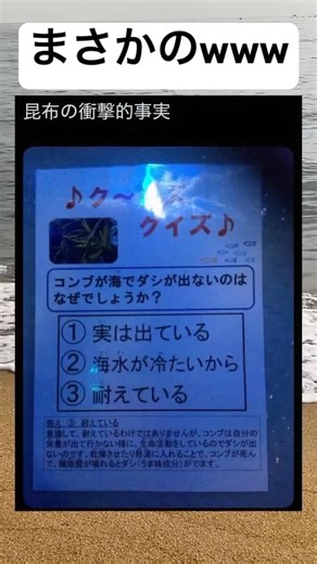 耐えてるのか#shorts#昆布#事実#面白い#笑える#画像