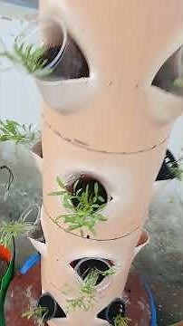 Automatic timer for pump of aerophonic tower