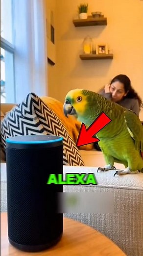 ALEXA NEEDS A NEW BRAIN😳😅