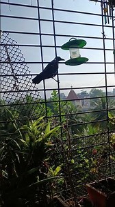 🤔मुझे भी टेंशन हो गई! #funny #happynewyear #newyear