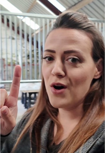 Stable Construction Day: Building Internal Stables