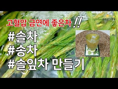 금연에 좋은차! 고혈압에 좋은차! 솔잎차 솔순차 송차 만드는법 #솔잎차만들기 #솔잎먹는방법 #솔잎효소담그는법
