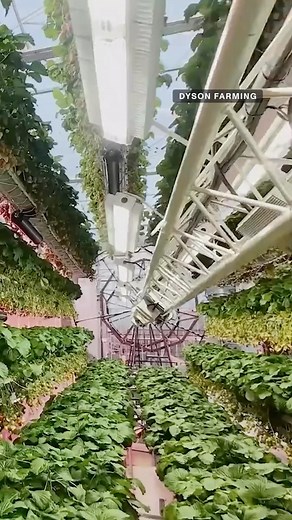 Dyson, a company best known for its vacuums and hair dryers, is jumping into farming. The company showed off its new rotating farm design that aims to make food production more local, sustainable and dependable. #dyson #farming #agriculture #agriculturetech | CNET