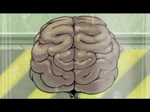 Luka's BRAIN in a vat｜Monster Girl Quest Paradox