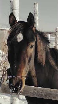 The Fascinating Evolution and Intelligence of Horses: Unveiling the Science Behind Their Biology! 🐎🔬