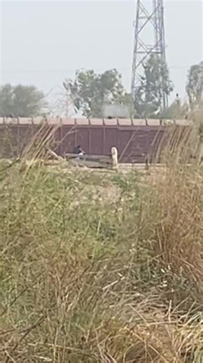 Understanding Train Sounds: A Guide to Railway Horns