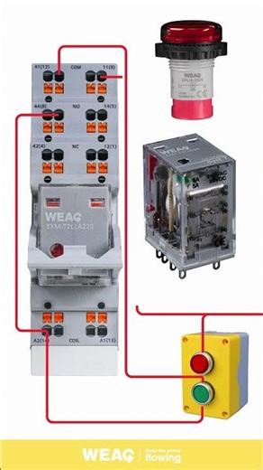 Smart Control Made Simple: General Relay with Dual Buttons & Indicators.