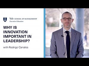 Why is Innovation Important in Leadership? | Yale SOM