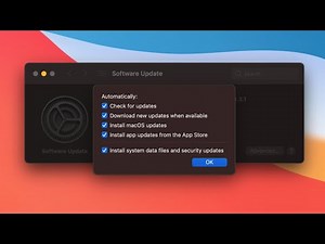 How to automatically install system data files and security updates on Mac