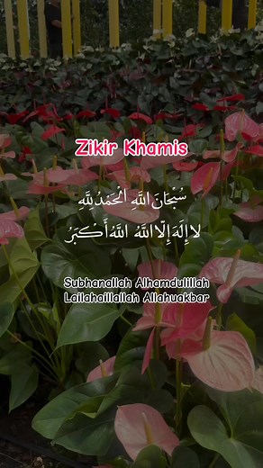 Zikir Khamis #zikirharian #fblifestylechallenge #contentcreator #starseverywhereシ | Sofia Yunos