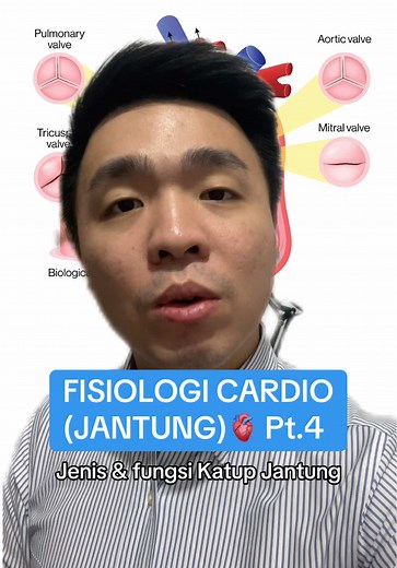 Jenis dan Fungsi Katup Jantung dalam Kardiologi
