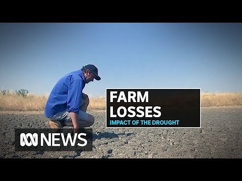 Report finds Aussie farming sector's lost more than a billion a year from climate change | ABC News