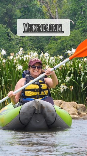 Time to explore! Paddle through a maze of white Rocky Shoal Spider Lilies as far as the eyes can see. We have been successfully selling out tours for 13 years at Landsford Canal State Park. Book the Spider Lily Paddle Tour with NC Outdoor Adventures today. Click the orange book now button online. | NC Outdoor Adventures