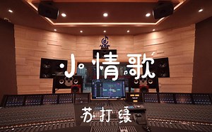 【无损音质】阿肆《热爱105℃的你》4K画质「Super Idol的笑容 都没你的甜」动态歌词版-嘿哈1573-网易云不让我听-哔哩哔哩视频