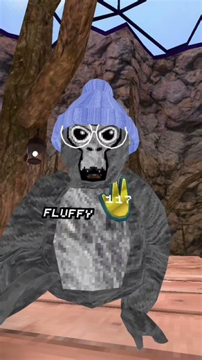 New fan code schedule!!! #gorillatag