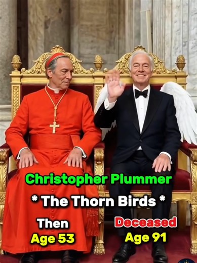 The Thorn Birds Cast: Faces That Time Changed, Stories That Didn’t 🕊️ #thethornbirds #timelessdrama #tvlegacy